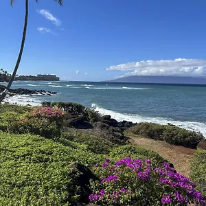 https://polynesian-shores-118.hotelsinhawaii.org
